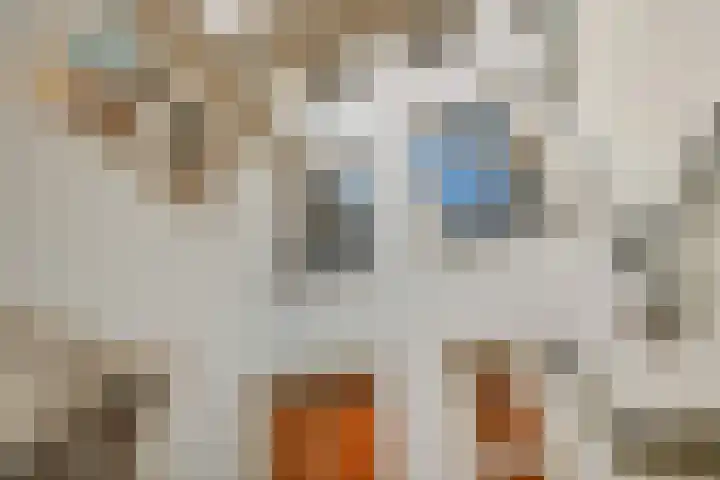 Nieuwe Leliestraat 8 1 Amsterdam thumbnail 32