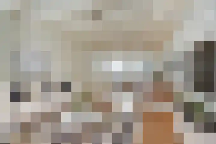 Nieuwe Leliestraat 8 1 Amsterdam thumbnail 4