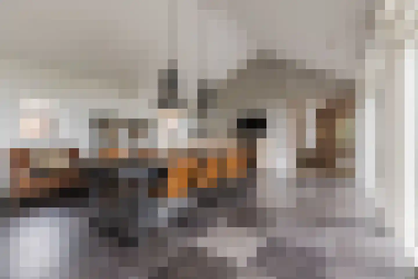 Nieuwe Lijn 4 Tilburg thumbnail 17