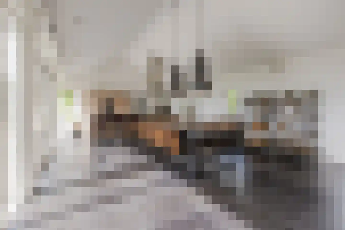 Nieuwe Lijn 4 Tilburg thumbnail 21