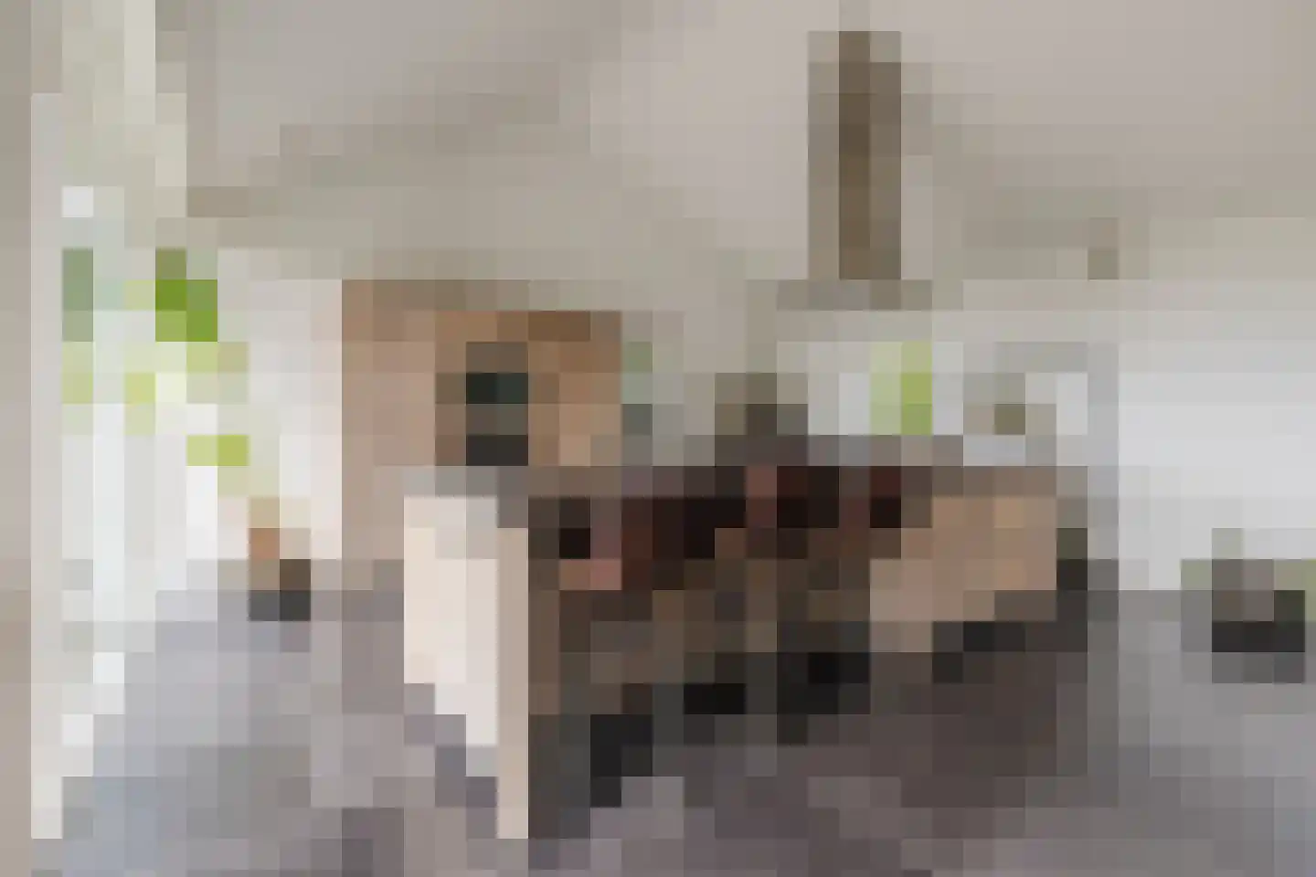 Nieuwe Lijn 4 Tilburg thumbnail 23