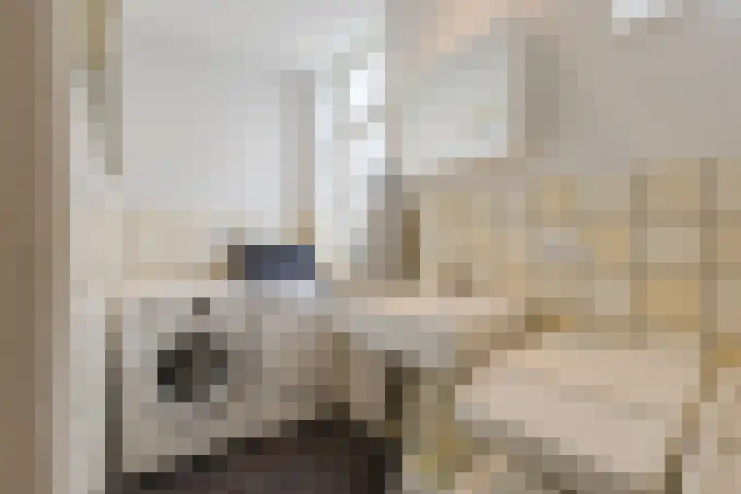 Nieuwe Lijn 4 Tilburg thumbnail 27