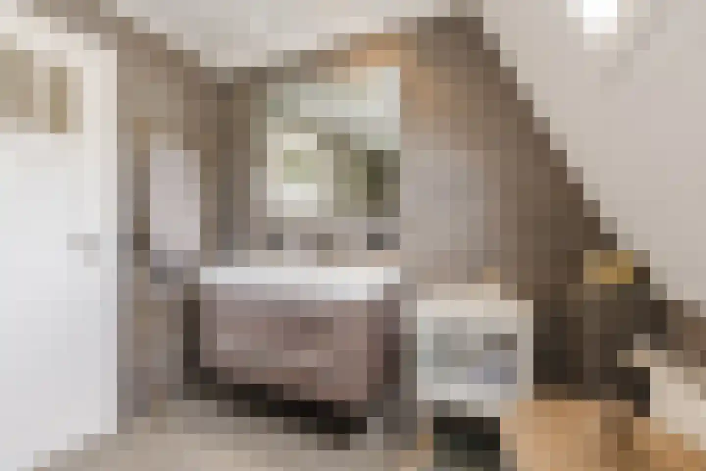 Nieuwe Lijn 4 Tilburg thumbnail 30