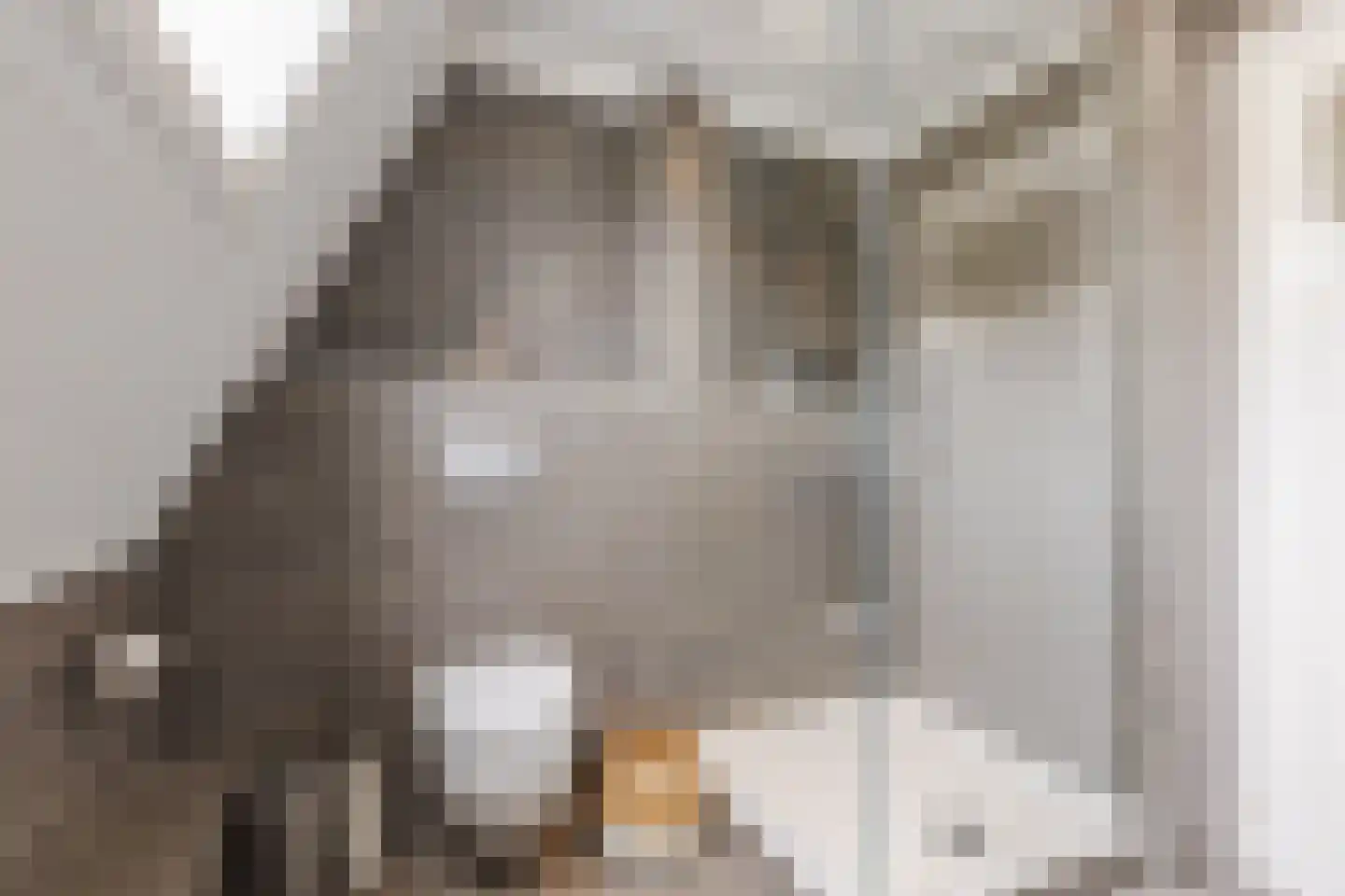 Nieuwe Lijn 4 Tilburg thumbnail 32