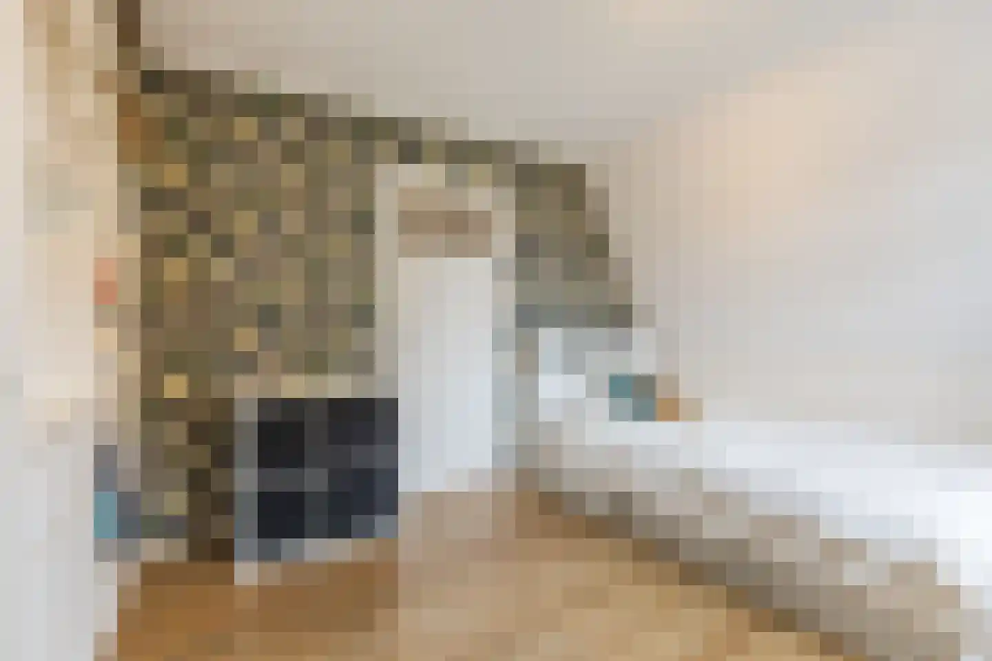 Nieuwe Lijn 4 Tilburg thumbnail 41