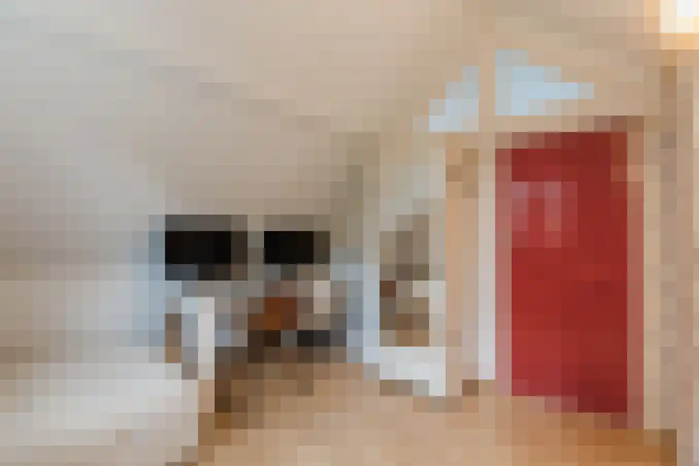 Nieuwe Lijn 4 Tilburg thumbnail 46
