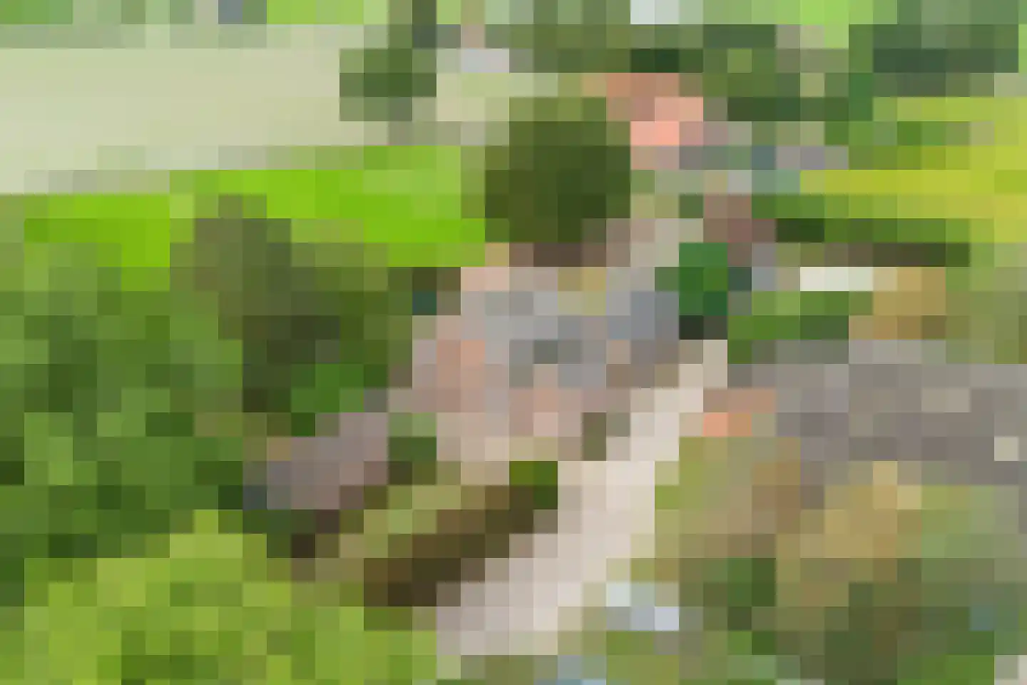Nieuwe Lijn 4 Tilburg thumbnail 5
