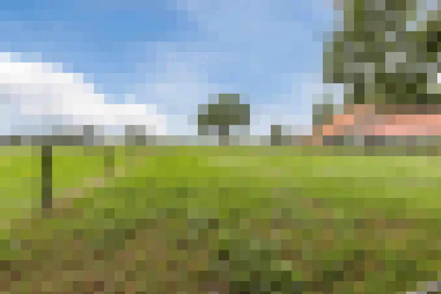 Nieuwe Lijn 4 Tilburg thumbnail 53
