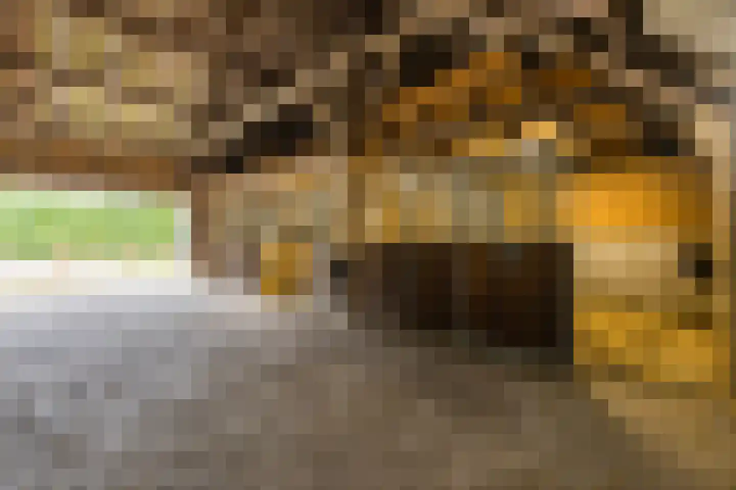 Nieuwe Lijn 4 Tilburg thumbnail 58