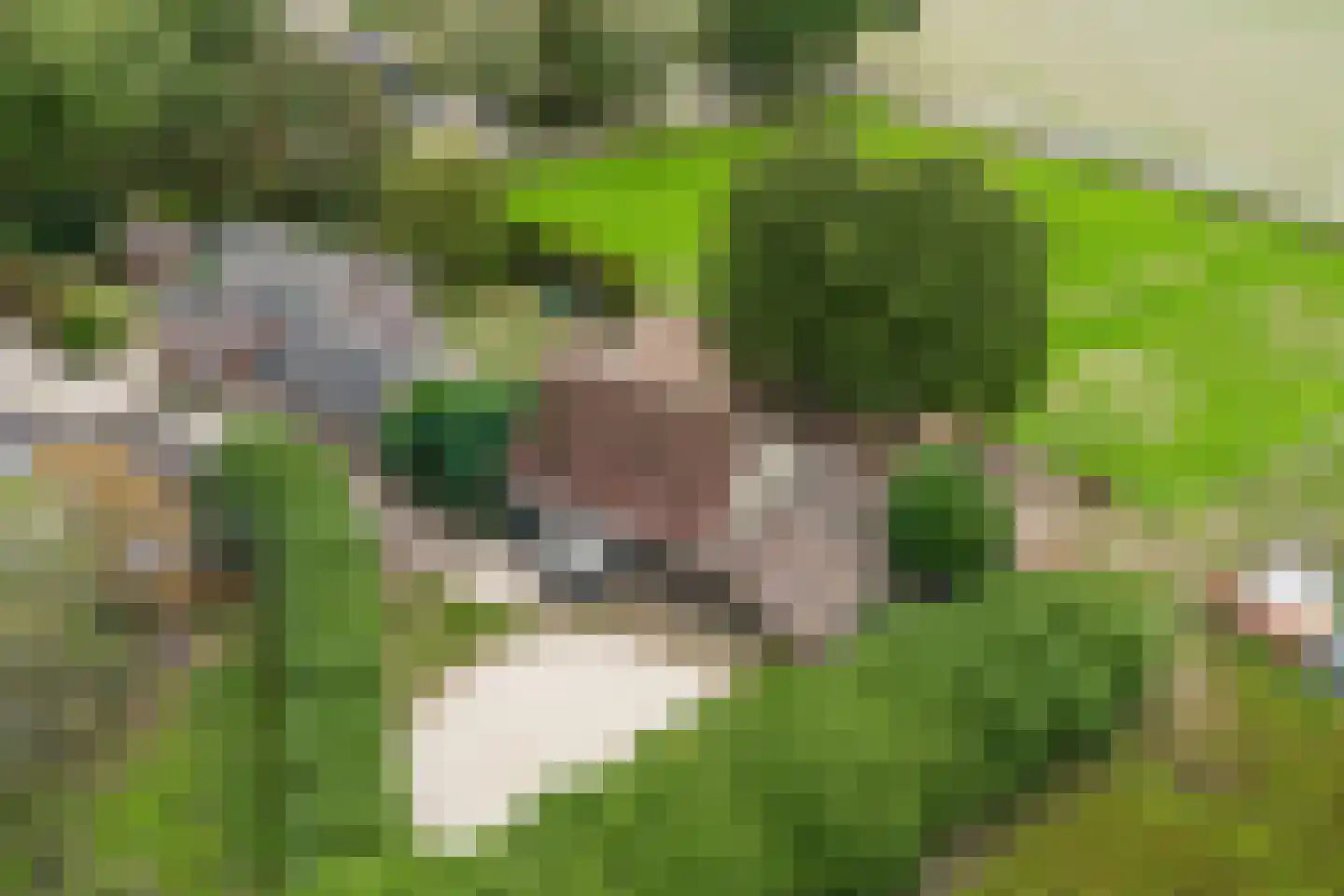 Nieuwe Lijn 4 Tilburg thumbnail 70