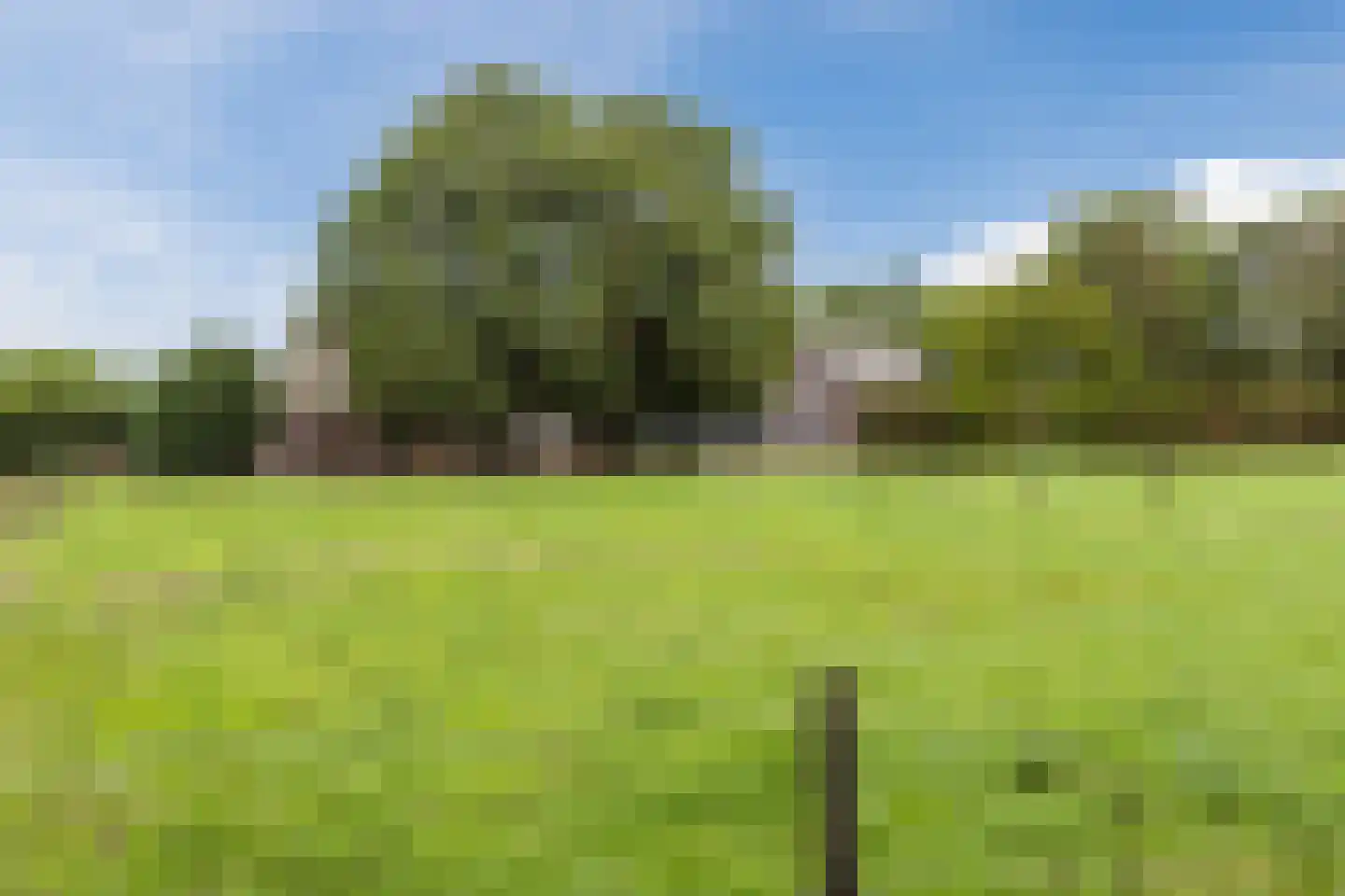 Nieuwe Lijn 4 Tilburg thumbnail 73