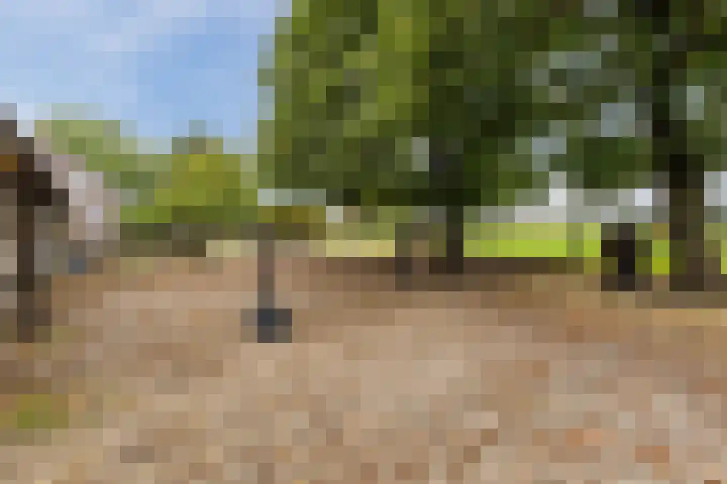 Nieuwe Lijn 4 Tilburg thumbnail 74
