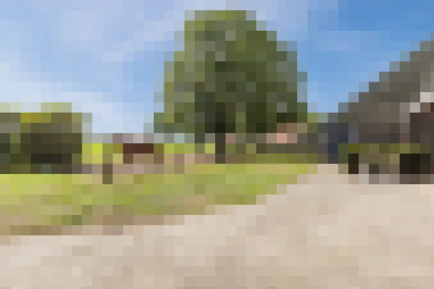 Nieuwe Lijn 4 Tilburg thumbnail 77