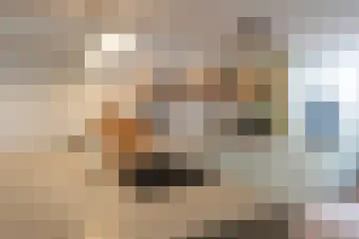 Nieuwe Looiersdwarsstraat 7 H Amsterdam thumbnail 11