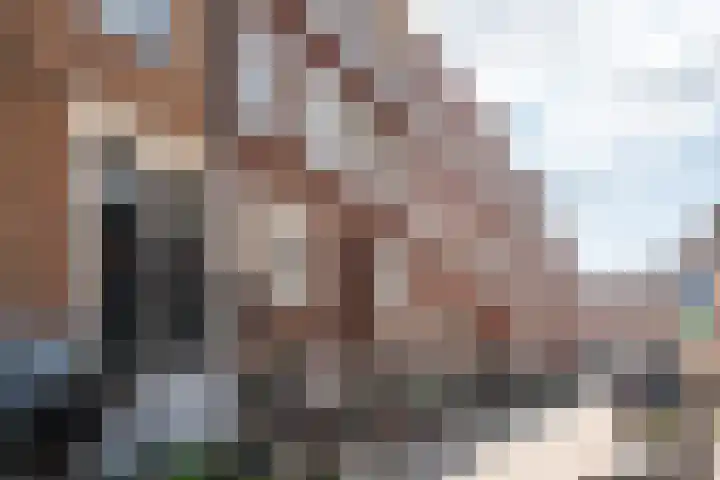 Nieuwe Looiersdwarsstraat 7 H Amsterdam thumbnail 40