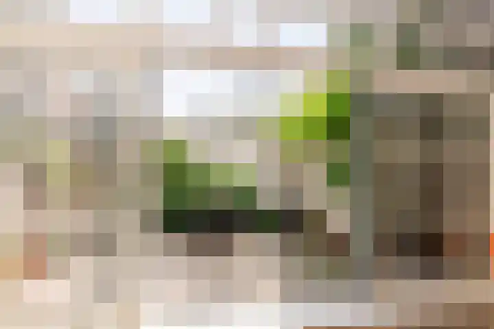 Nieuwe Looiersdwarsstraat 7 H Amsterdam thumbnail 8