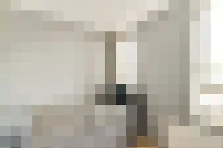 Nieuwe Looiersstraat 120 C Amsterdam thumbnail 13