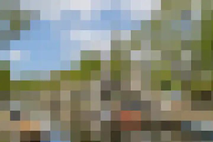 Nieuwe Looiersstraat 120 C Amsterdam thumbnail 18