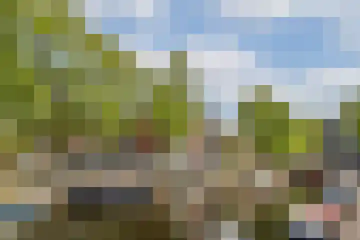 Nieuwe Looiersstraat 120 C Amsterdam thumbnail 19