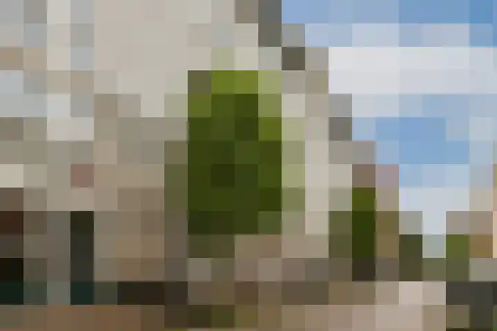 Nieuwe Looiersstraat 120 C Amsterdam thumbnail 24