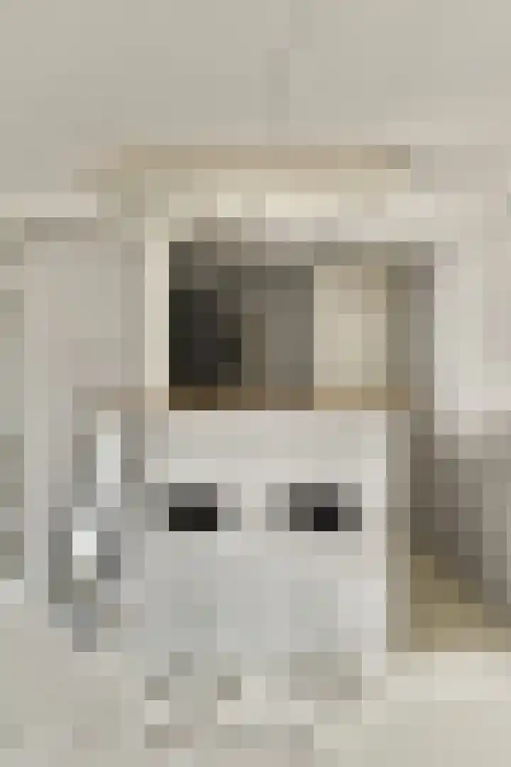 Nieuwe Looiersstraat 120 C Amsterdam thumbnail 5