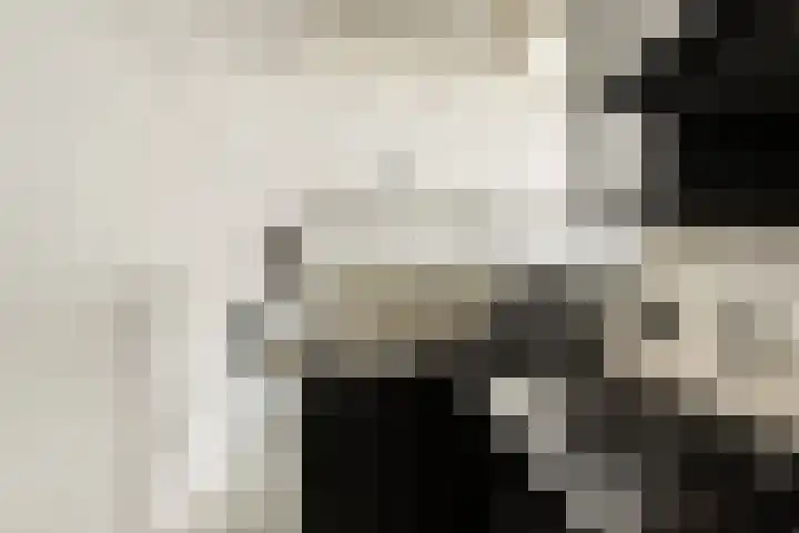 Nieuwe Looiersstraat 120 C Amsterdam thumbnail 7