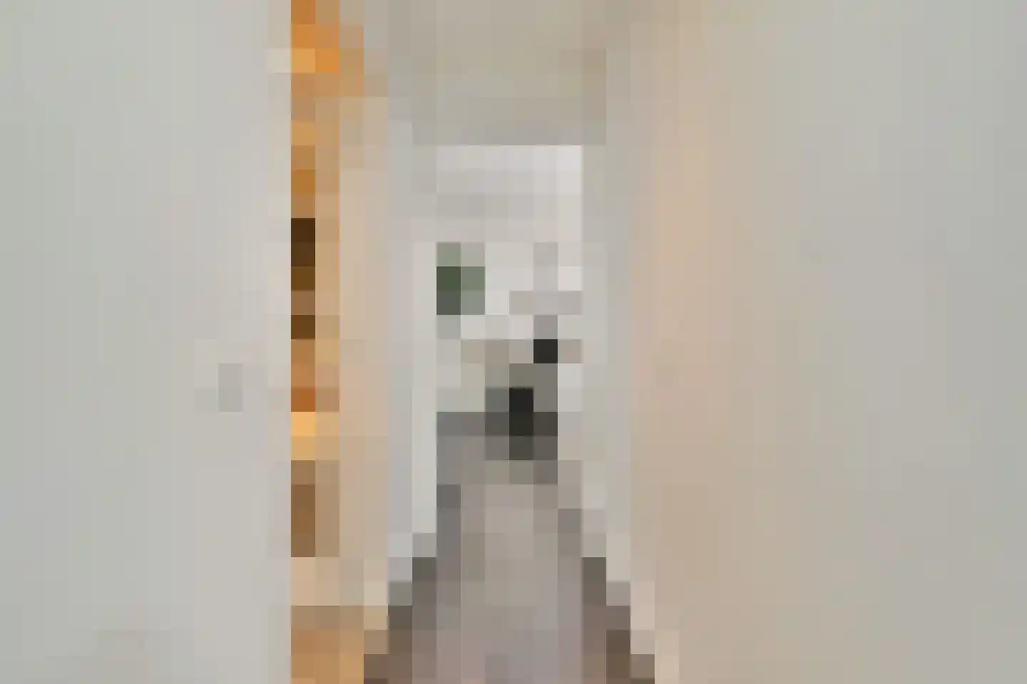 Nieuwe Looiersstraat 120 E Amsterdam thumbnail 14