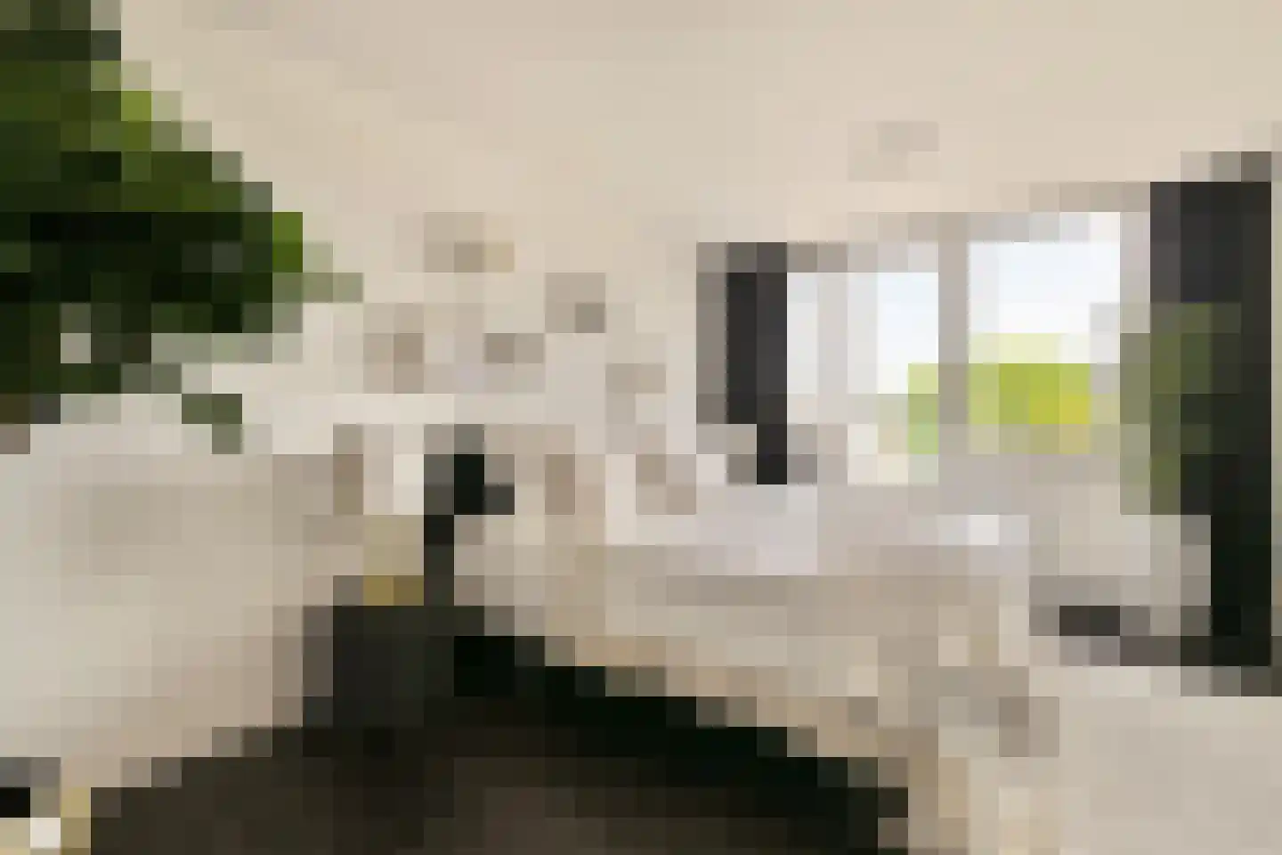 Nieuwe Looiersstraat 120 E Amsterdam thumbnail 15