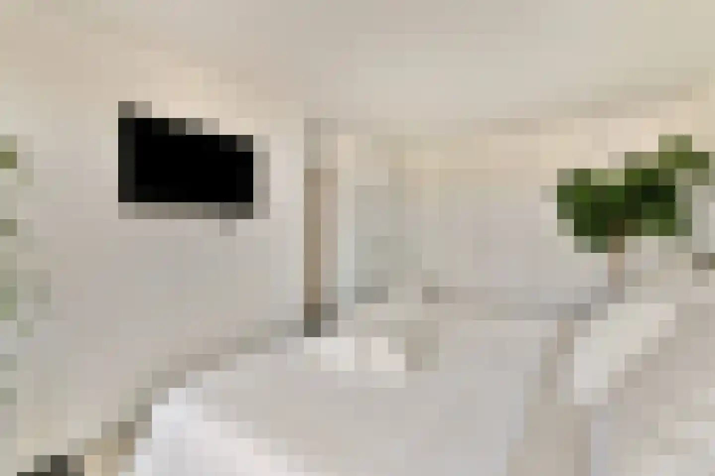Nieuwe Looiersstraat 120 E Amsterdam thumbnail 16