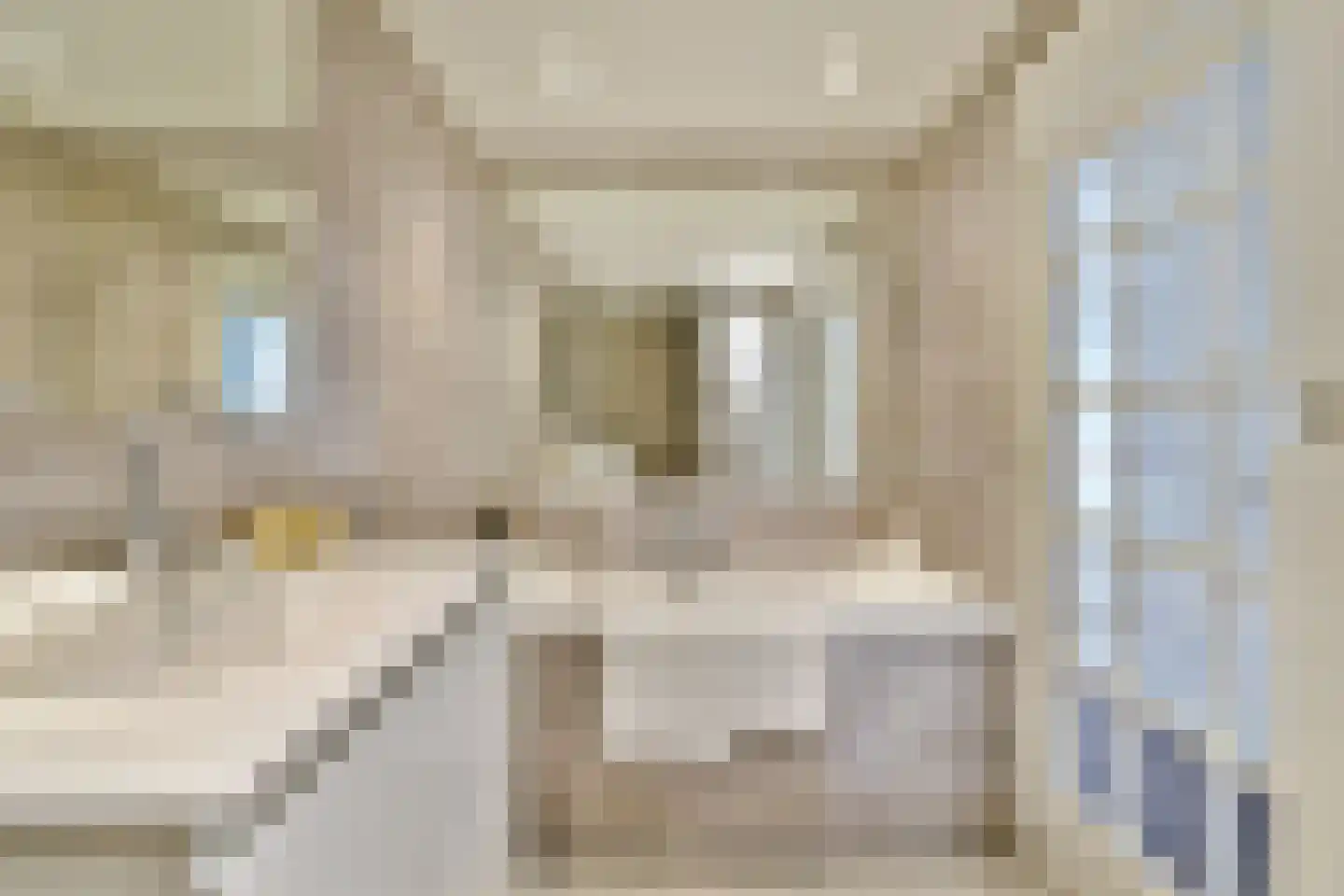 Nieuwe Looiersstraat 120 E Amsterdam thumbnail 18
