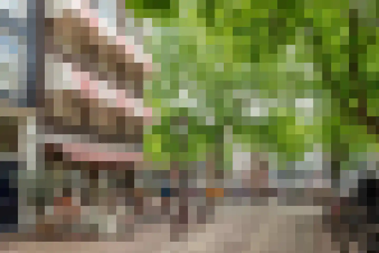 Nieuwe Looiersstraat 120 E Amsterdam thumbnail 48