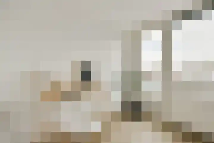 Nieuwe Looiersstraat 122 L Amsterdam thumbnail 13