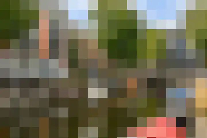 Nieuwe Looiersstraat 122 L Amsterdam thumbnail 20