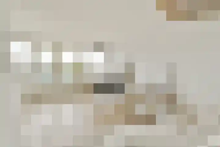 Nieuwe Looiersstraat 122 L Amsterdam thumbnail 5