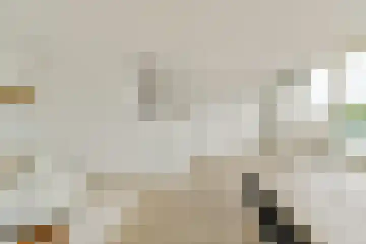 Nieuwe Looiersstraat 122 L Amsterdam thumbnail 6