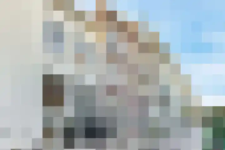 Nieuwe Looiersstraat 142 A Amsterdam thumbnail 18