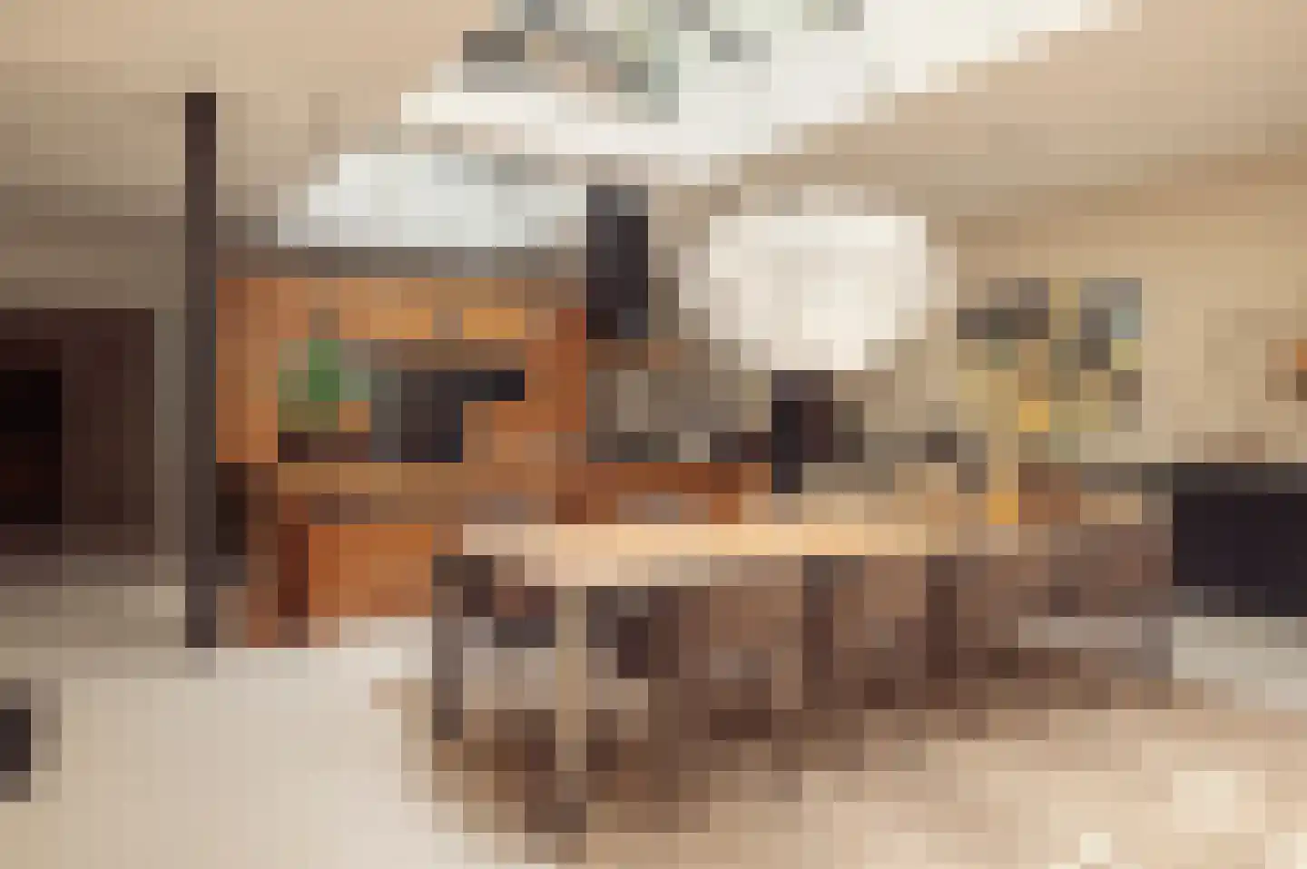 Nieuwe Looiersstraat 17 Amsterdam thumbnail 10
