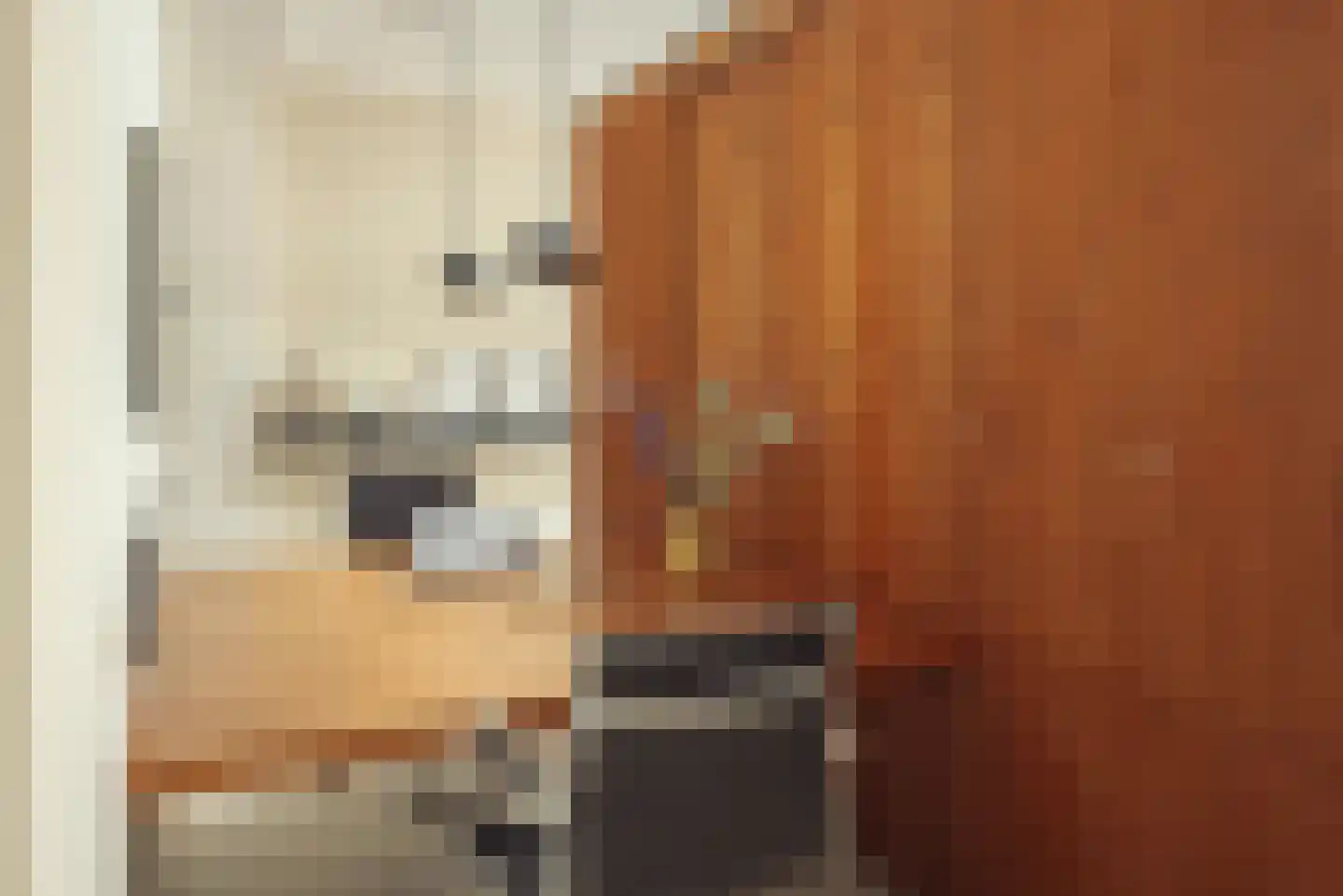 Nieuwe Looiersstraat 17 Amsterdam thumbnail 15