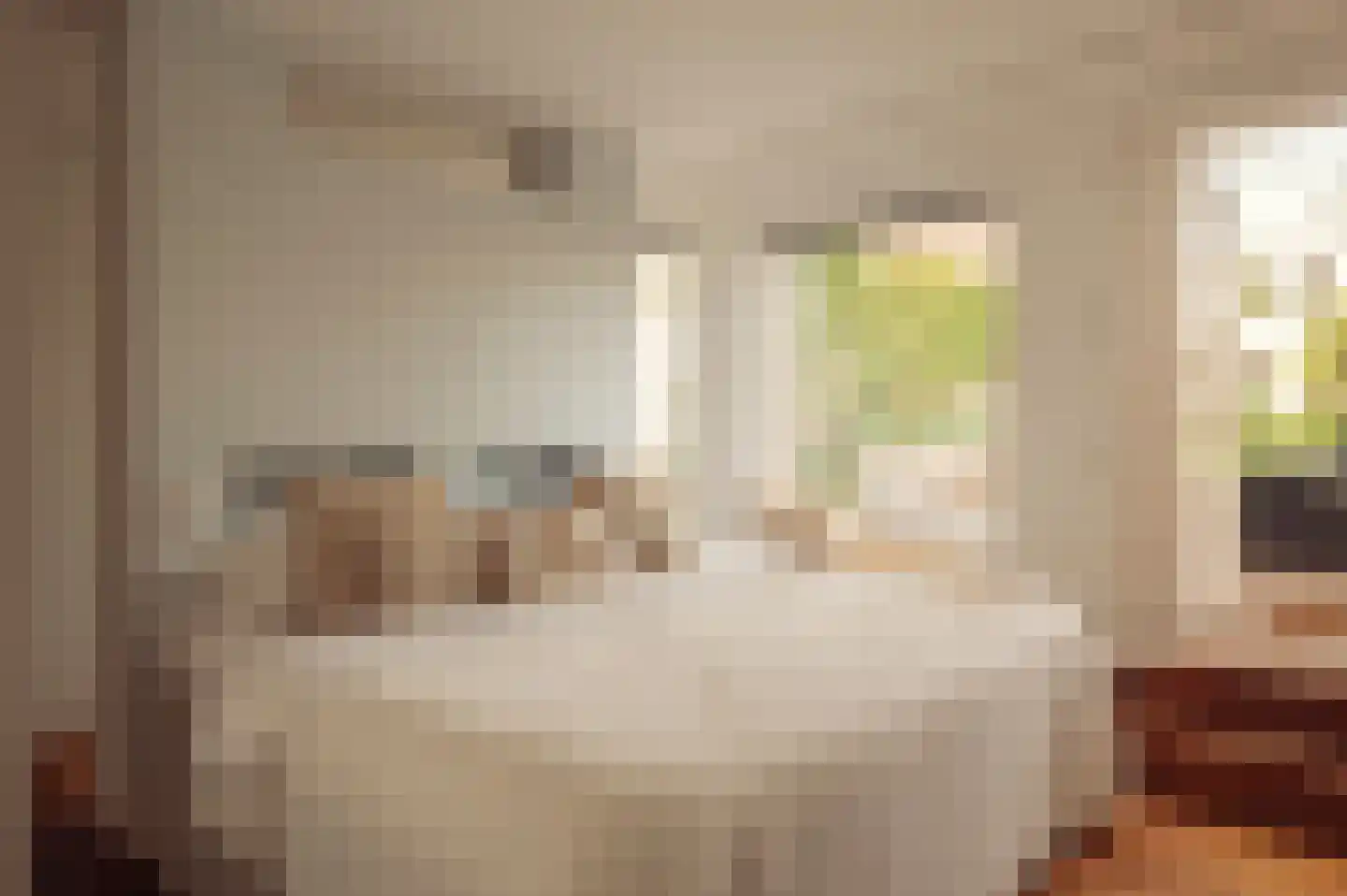 Nieuwe Looiersstraat 17 Amsterdam thumbnail 16