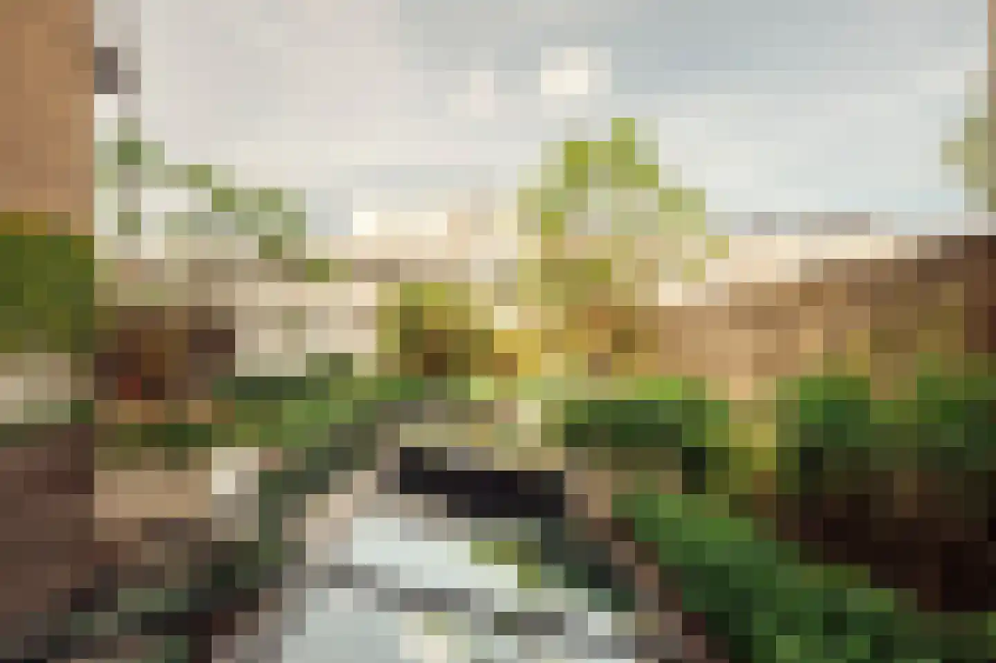 Nieuwe Looiersstraat 17 Amsterdam thumbnail 18