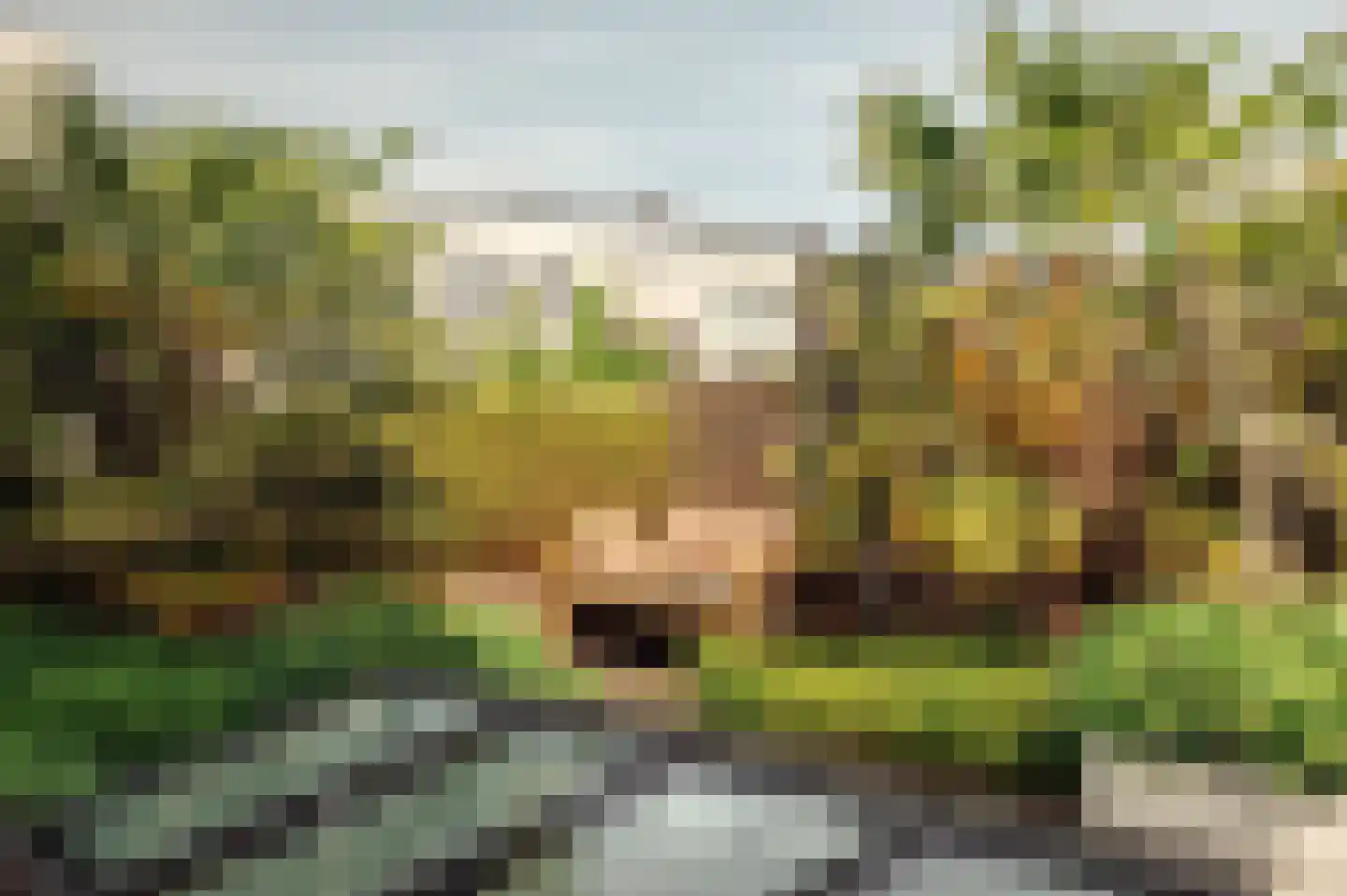 Nieuwe Looiersstraat 17 Amsterdam thumbnail 5