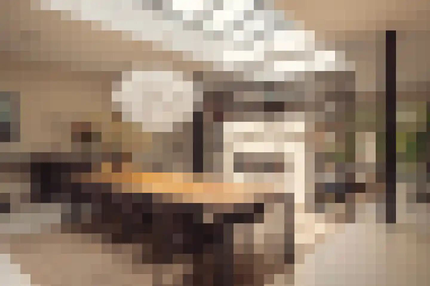 Nieuwe Looiersstraat 17 Amsterdam thumbnail 7