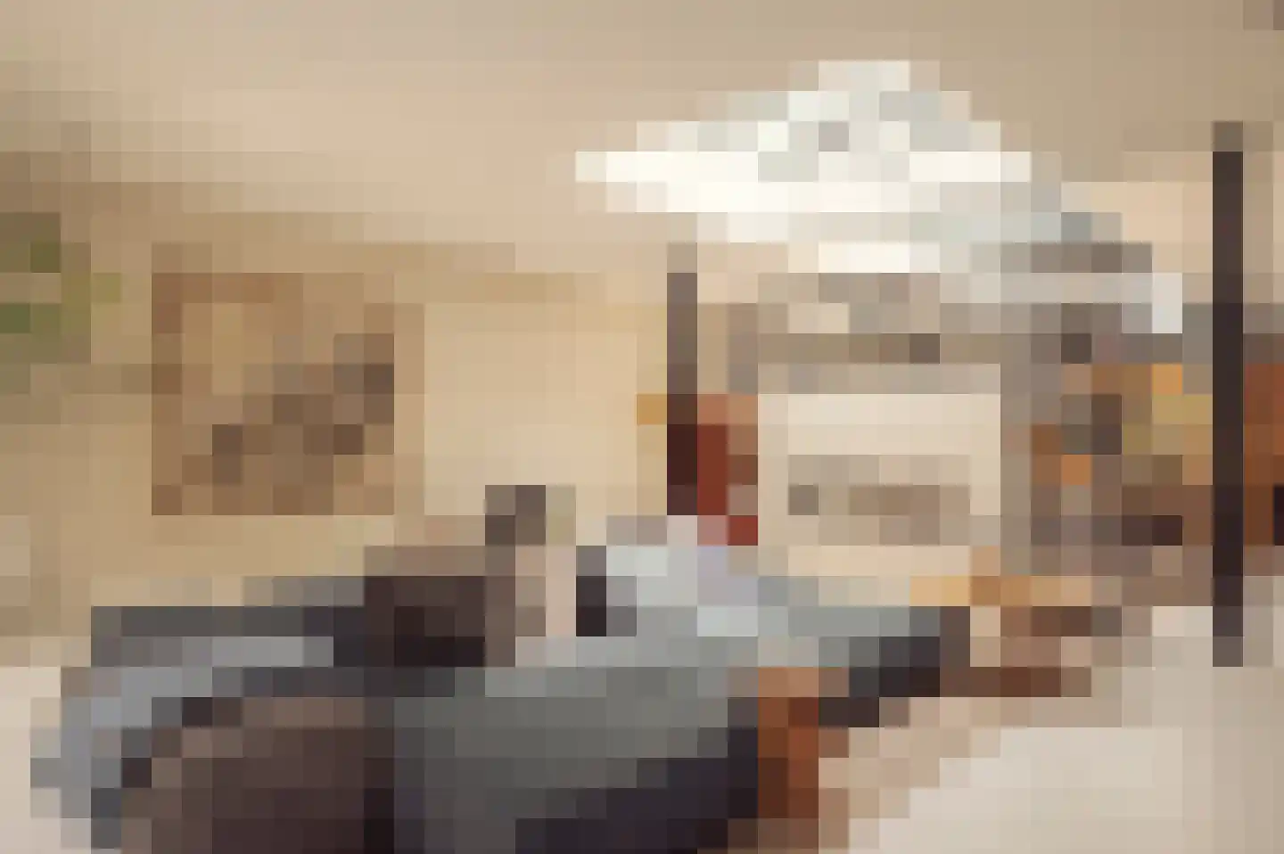 Nieuwe Looiersstraat 17 Amsterdam thumbnail 9