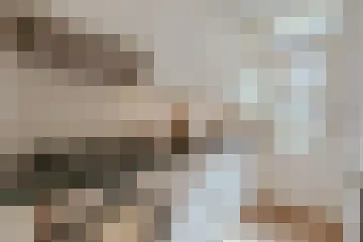 Nieuwe Looiersstraat 68 2 Amsterdam thumbnail 11