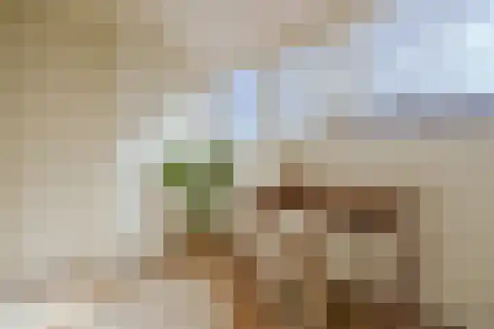 Nieuwe Looiersstraat 68 2 Amsterdam thumbnail 17