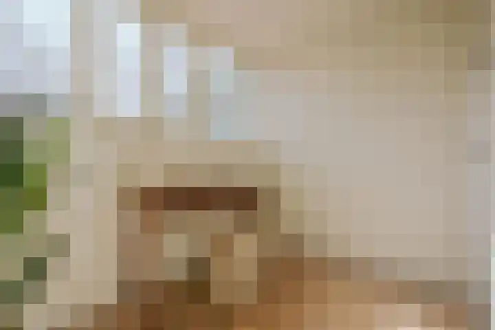 Nieuwe Looiersstraat 68 2 Amsterdam thumbnail 18