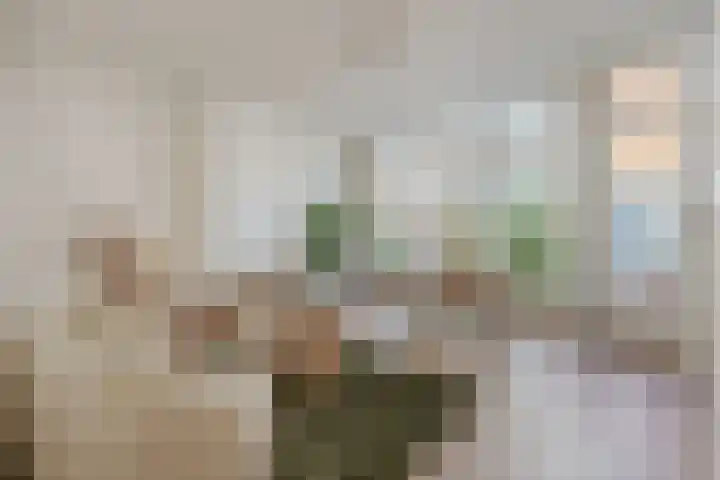 Nieuwe Looiersstraat 68 2 Amsterdam thumbnail 4