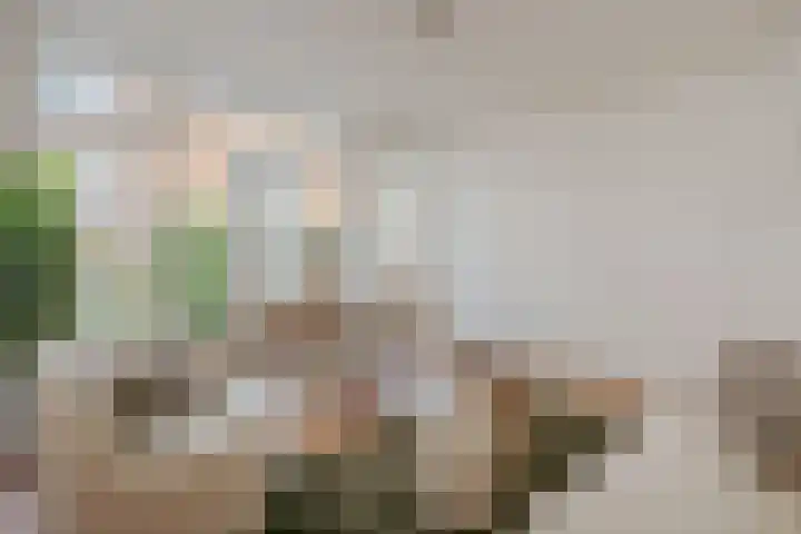 Nieuwe Looiersstraat 68 2 Amsterdam thumbnail 5