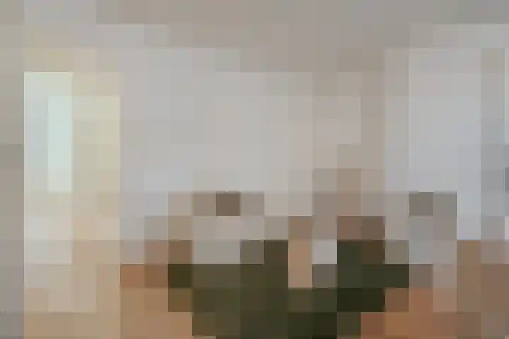 Nieuwe Looiersstraat 68 2 Amsterdam thumbnail 6