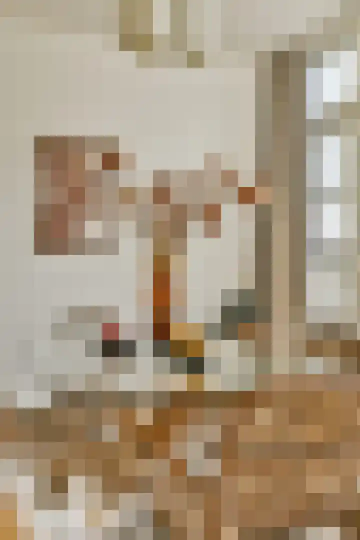 Nieuwe Looiersstraat 70 H Amsterdam thumbnail 10